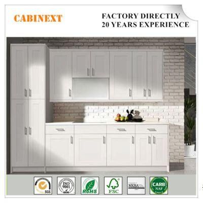 Fuzhou Swinging Door Design Kitchen Storage Cabinet for Sale