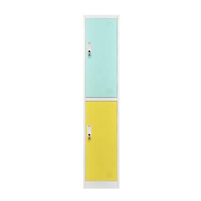 Modern Steel Bedoom Furniture 2 Doors Tall Locker Manufacturers