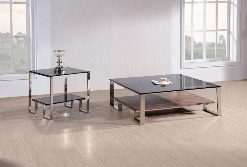 New Design Square Steel Coffee Tables with Two Layers Tempered Glass & Veneer Top Home Furniture