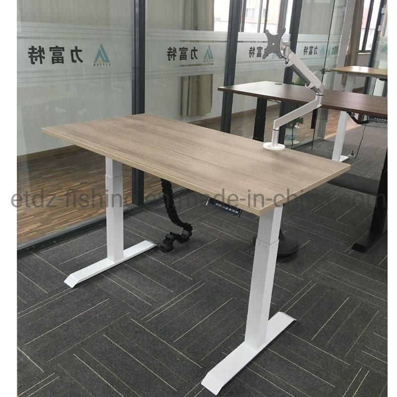 Office Modern Desk Height Adjustable Computer Executive Desk