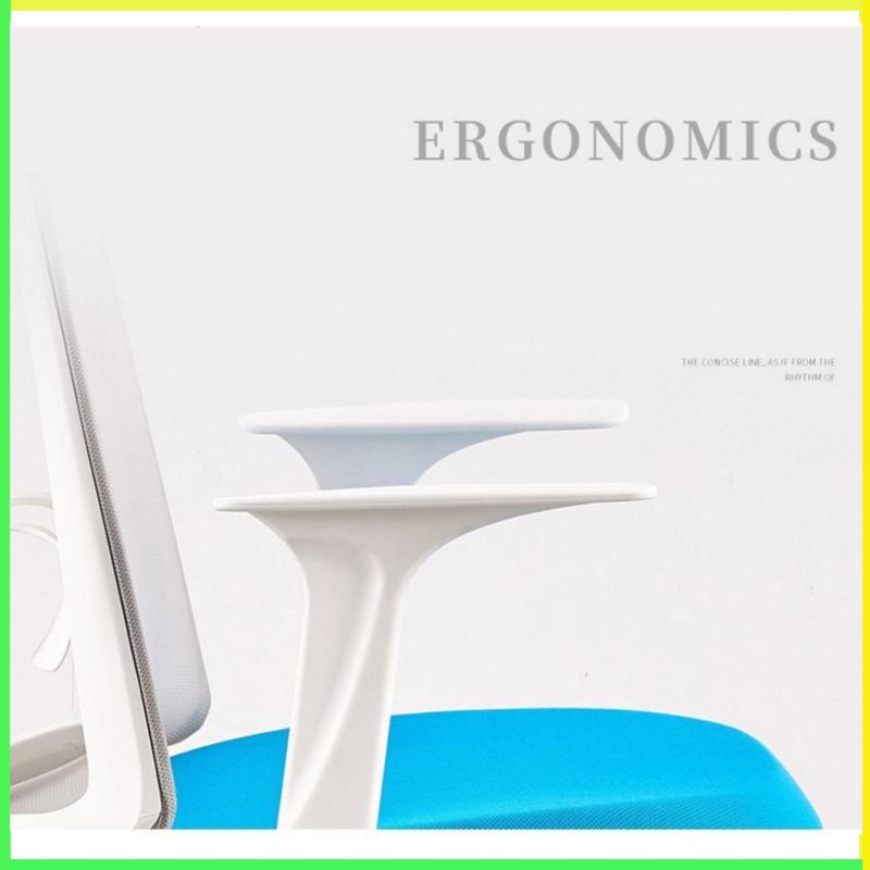 Modern Executive Ergonomic Computer Parts as-B2130wh Home Furniture Office Chairs