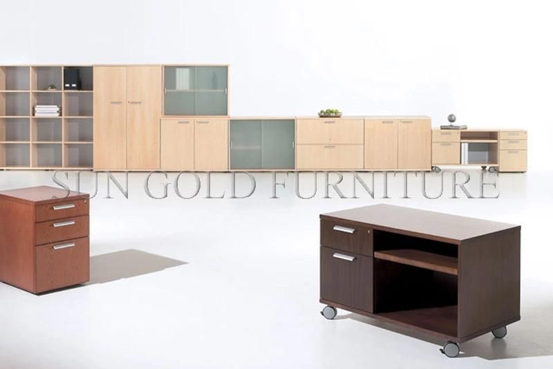 Modern New Design Office Furniture Storage Cabinet (SZ-FC062)