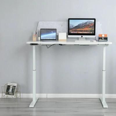 Elites Dual Motor Electric Adjustable Standing Desk, Height Adjustable Desk Frame Sit Stand Desk Luxury Office Furniture