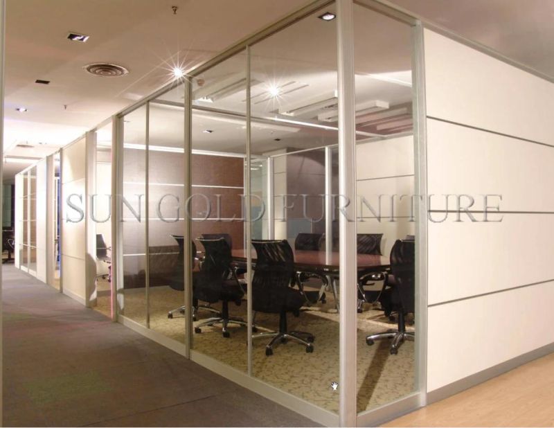 Australian Standards Commercial Office Double Glass Partition Wall (SZ-WST790)