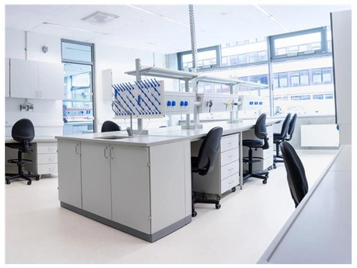 Factory Hot Sell Physical Steel Lab Furniture with Reagent Shelf, Factory Hot Sell Hospital Steel University Lab Bench/