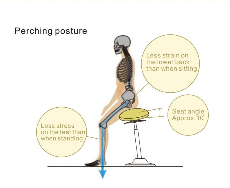 Height Adjustable Ergonomic Pneumatic Bar Wobble Standing Chair