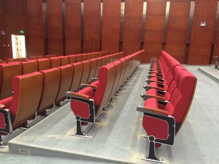 School Conference Lecture Hall Economic Public Theater Church Auditorium Seating