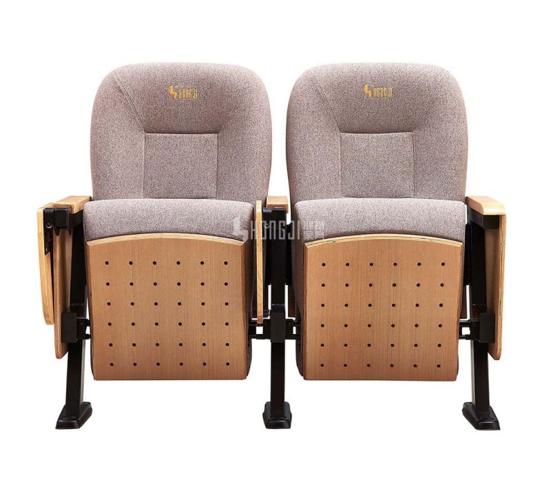 Stadium Conference Cinema Economic Audience Church Theater Auditorium Chair