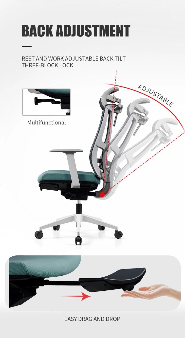 Free Sample High Back Adjustable Height Mesh Ergonomic Office Chair with Headrest