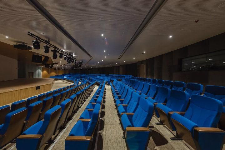 Stadium Office Economic Lecture Hall School Church Theater Auditorium Furniture