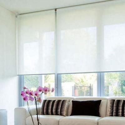 Motorized Waterproof Clear External Indoor Roller Blind