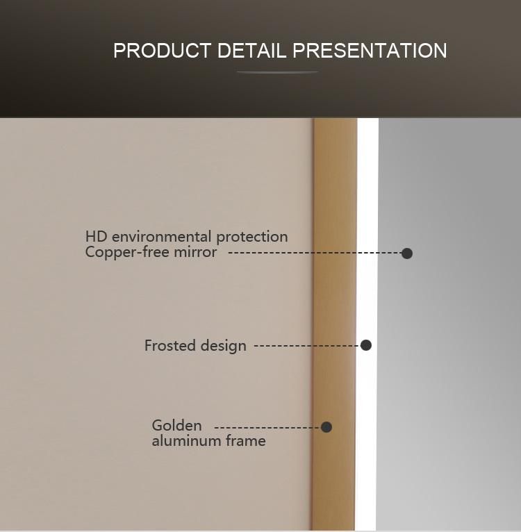 OEM Factory Custom Full Length Dressing Room Mirrors Wall Mounted LED Lighted for Hotel