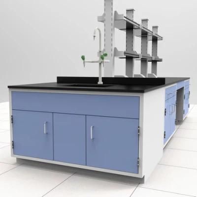 Hospital Wood and Steel Lab Furniture with Absorbent Paper, Biological Wood and Steel Lab Bench/