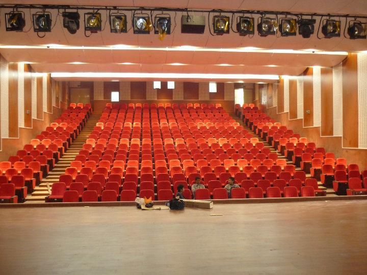 Hongji Auditorium Cinema Movie Theater Stadium Church Seating