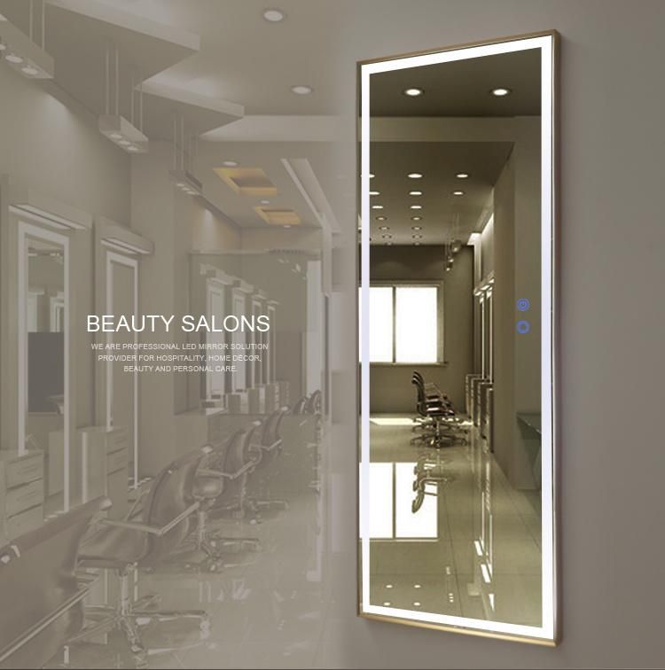 Standing Light Dressing up Luxury Interior Home Decor Wall Mirror