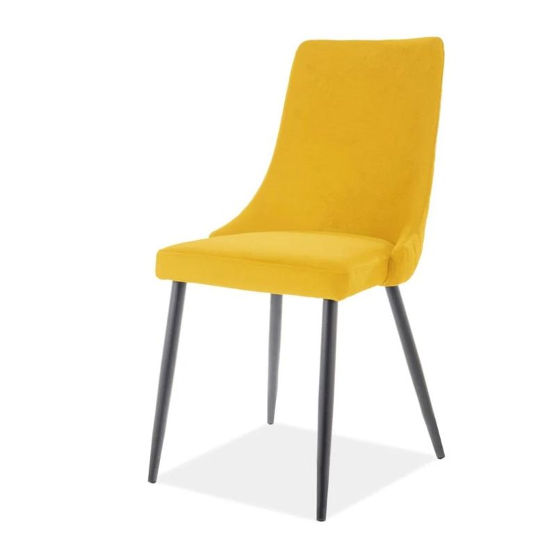 New Design Modern Metal Frame Simple Dinner Chair