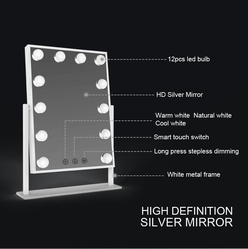 12 Dimmable Touch Control Hollywood Vanity LED Mirror for Makeup