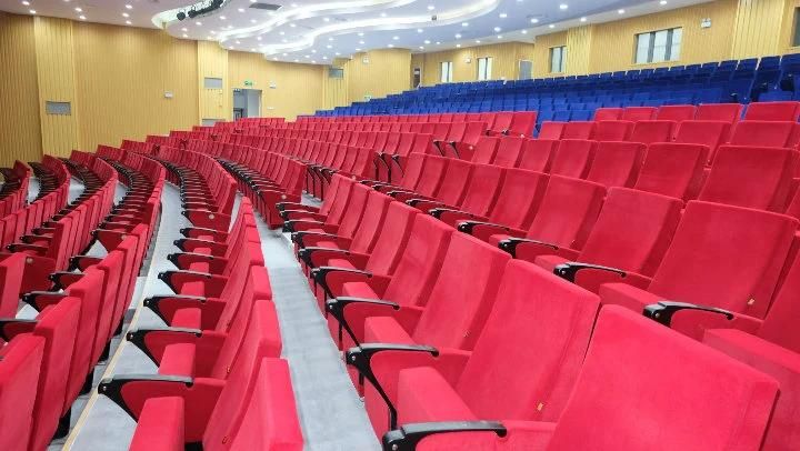 Stadium Economic Lecture Theater Cinema School Church Theater Auditorium Seat