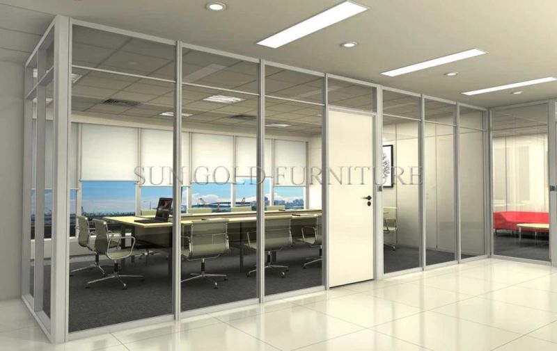 Australian Standards Commercial Office Double Glass Partition Wall (SZ-WST790)