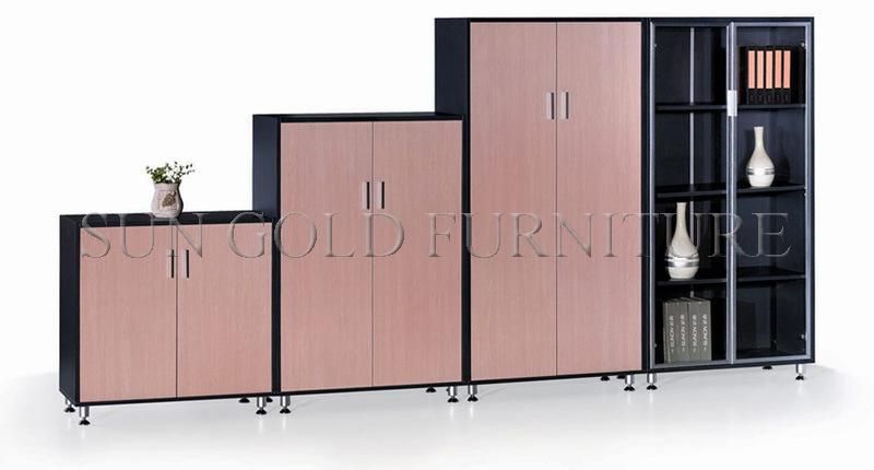 Modern Office Furniture Low Storage Cabinet (SZ-FC001)