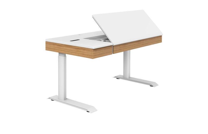 Good Service Modern Design 40mm/S Speed Stand up Chuying-Series Kids Desk