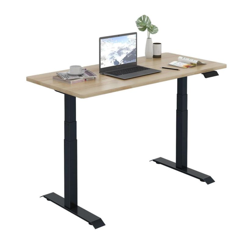 Office Adjustable Standing Desk Dual Motor Electric Height Adjustable