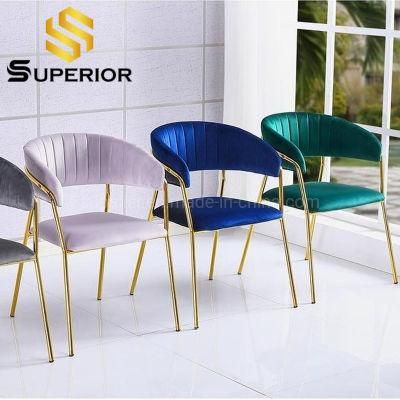 Modern Luxury Gold Frame Velour Chairs For Dining Room Furniture