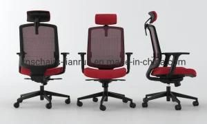 Wholesale Cheap Affordable Home Furniture Metal Reliable Reusable School Furniture Ergonomic Chair