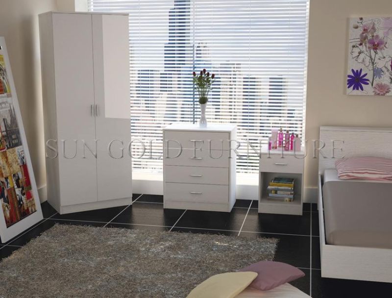 Modern Popular Designs Two Doors Bedroom Wooden Furniture Wardrobes Cabinets