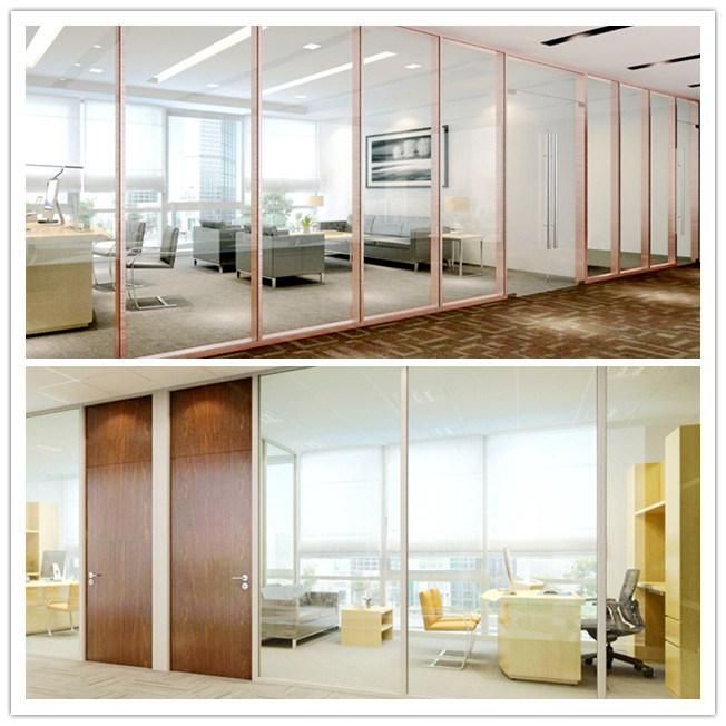 Shaneok Modern Floor to Ceiling Office Glass Decorative Partition