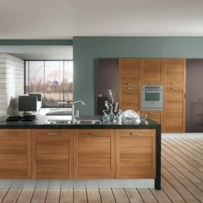 New Custom American Style Home Furniture Wooden Lacquer Modular Kitchen Furniture