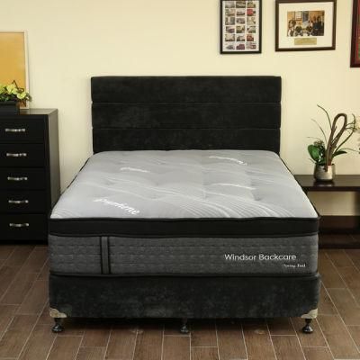 Modern Roll up Mattress Kasur Foshan Factory Manufacturer in a Box Compressed Single Continuous Bonnell Spring Mattress