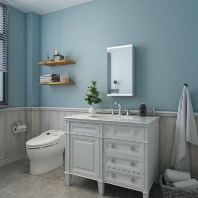 Bathroom Accessories LED Bathroom Cabinet Single Door/Double Door Home Furniture Cabinet MDF PVC Aluminum Profile Cabinet