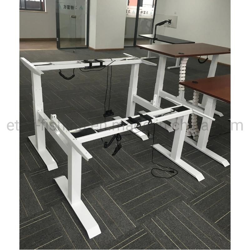 Executive Office Moden Desk Electric Height Adjustable Computer Desk