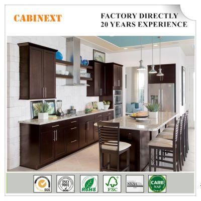 Modern Style and Plywood Carcase Material Laquer Kitchen Cabinet