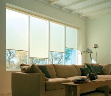 Reasonable Price and Top Quality of Roller Blind