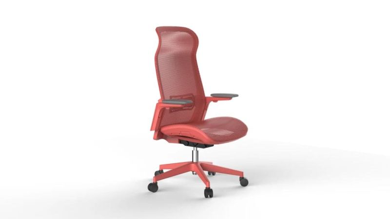 Sihoo Professional Factory New Arrival Ergonomic Height Adjustable Office Computer Chair Furniture