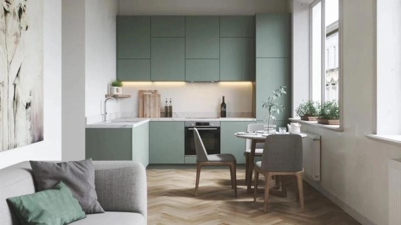 Newest Design Apartment Furniture Green Kitchen Cabinets (KPE13)