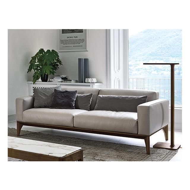 Modern and Simply Design 2 Seater High-Grade Fabrics Sectional Sofa for Home Living Room Furniture