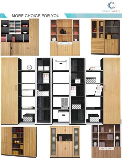 Modern Furniture Bookshlf Office Cabinet with Two Lockable Doors (CAS-FC18513)