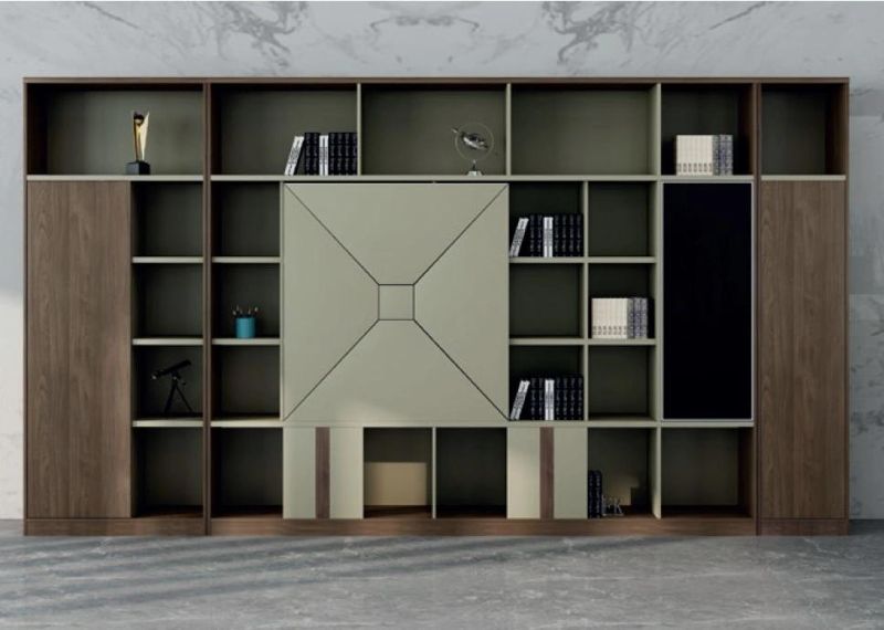 Modern New Design Office Furniture Storage Cabinet (SZ-FC062)