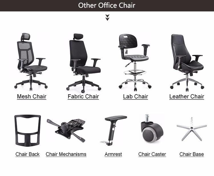 Heat and Massage Office Chairs Cheap Office Chair Mesh Back Glass Frame and Furniture Components