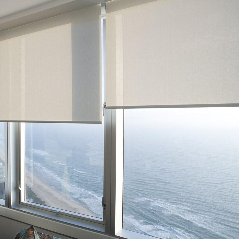 100% Blackout Roller Shades Cordless Sunscreen Roller Window Blinds