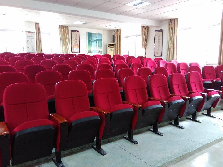 Stadium Classroom Audience Lecture Hall Public Auditorium Church Theater Seat