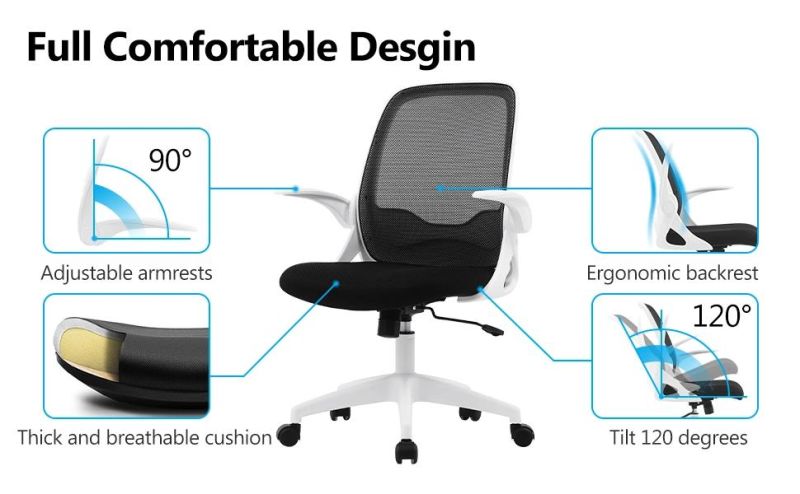 Li&Sung 10273 Ergonomic Adjustable Height Modern Mesh Chair