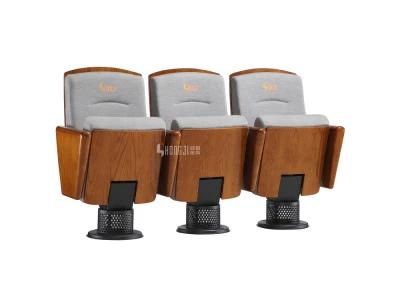 Audience Stadium Media Room Conference Economic Auditorium Theater Church Furniture