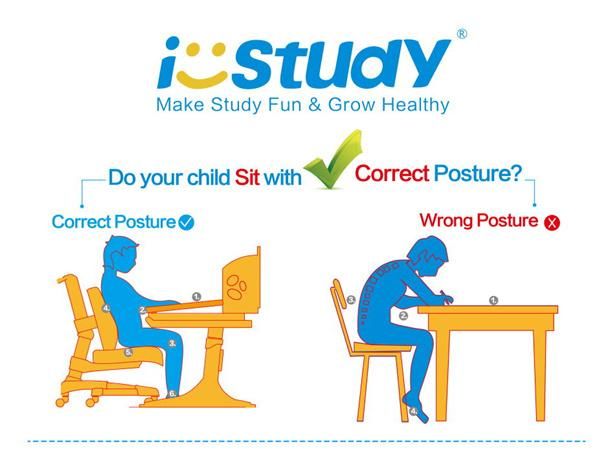 Ergonomic Design Luxury Office Study Computer Table