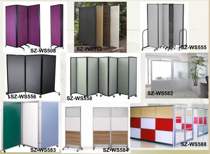 New Glass Mixed Particle Board Modern Office Room Partitions (SZ-WS675)