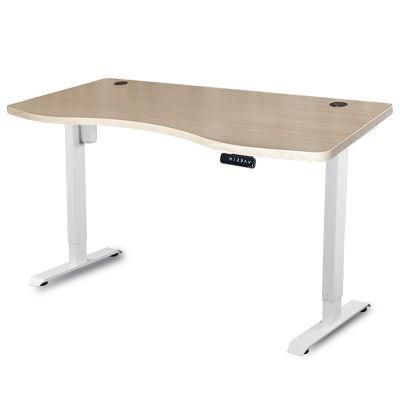 Single Motor Desk Stand up Desk Sit Down Long Writing Desk