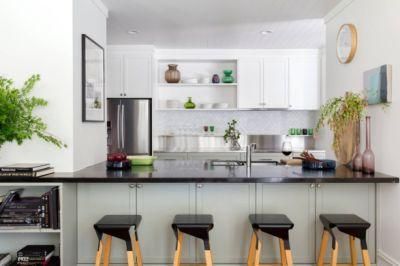 Green Shaker Base Cupboard with White Lacquer Furniture Wall Kitchen Cabinets